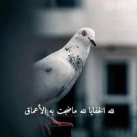 Ghalia (@ghalia2024125) Twitter profile photo