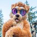 MaxButFluffier 🐶 (@maxbutfluffier) Twitter profile photo MaxButFluffier 🐶 (@maxbutfluffier) Twitter profile photo