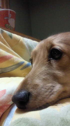 casminmin's profile picture. 