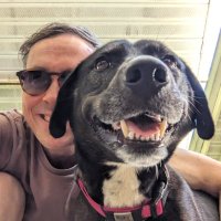 Baseball Card Breakdown (@breakdowncards) 's Twitter Profile