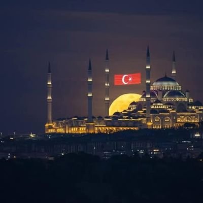 Derin milliyetçi.vatansever.🇹🇷🇹🇷🇹🇷...
Vatana bayrağa,ezana vedahi kutsal davaya bir baska sevdalıdır bu fakir..!!