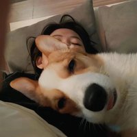 玲玲姐 (@jpacocha28369) 's Twitter Profile