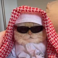 𝓒𝓲𝓷𝓰 (@hajicing) 's Twitter Profile Photo 𝓒𝓲𝓷𝓰 (@hajicing) 's Twitter Profile Photo