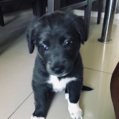 lays_slva's profile picture. | music is life 🎧