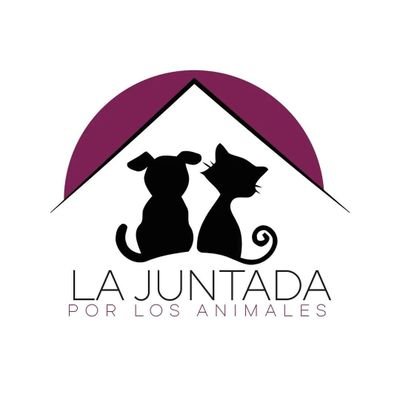 Boedo📌
#⃣Facebook: La Juntada por los Animales
📷Instagram: @lajuntadaxlosanimales
AYUDANOS A AYUDARLOS🐶🐱💜