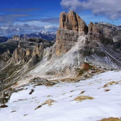 Amini36five's profile picture. 