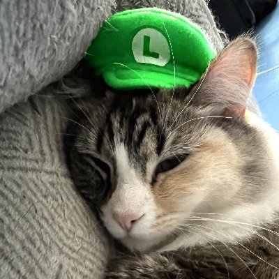 うさ美 あさみみちゃん × USAGI ONLINE】スライドミラー（メイク小物