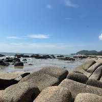 Thái Thú Tú (@ng5357) 's Twitter Profile