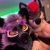 Fox playden ๐ฟ๐ฆ (@twobreedyfoxes) Twitter profile photo Fox playden ๐ฟ๐ฆ (@twobreedyfoxes) Twitter profile photo