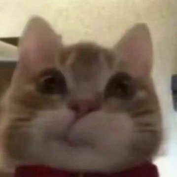 SSLICERR's profile picture. #LLJW🕊