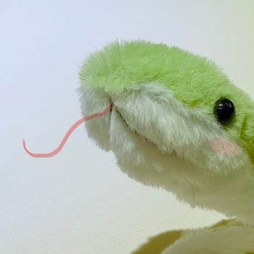 sadsaf1234's profile picture. https://t.co/raYtHBYUsM
курухьна
discord: dd5#3878