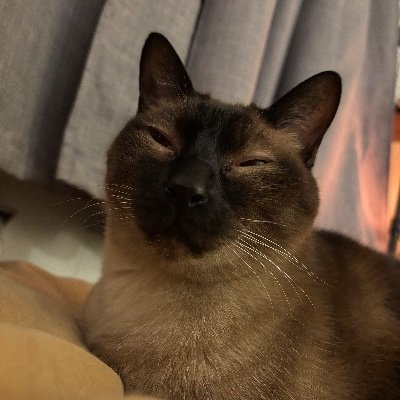 hillary_trotman's profile picture. Canadian.