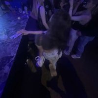 🤍pretty girl tay🤍 (@tokentaya) 's Twitter Profile