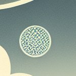 halalbeard121's profile picture. 