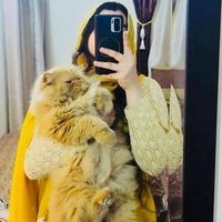 ifat khan (@iffiiffikhan431) 's Twitter Profile Photo ifat khan (@iffiiffikhan431) 's Twitter Profile Photo