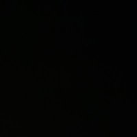 Austin Kittl (@austinkittl1) 's Twitter Profile