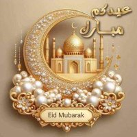 Dalia A. Elmaghraby (@dodyelmaghraby) 's Twitter Profile