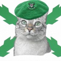 Queipodegato🇪🇸 (@queipodegato) 's Twitter Profile