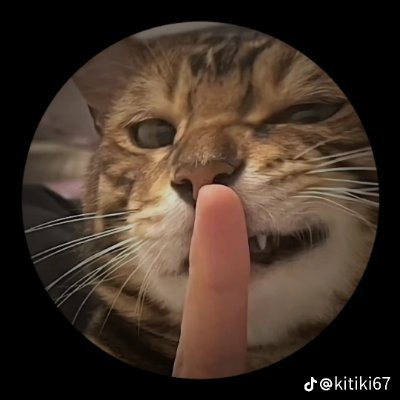 canor12_a's profile picture. 