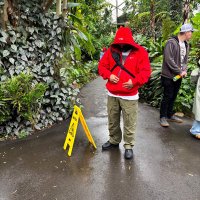 easy 💲💲💲 (@stuckinaratrace) 's Twitter Profile Photo