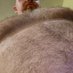 Natural Dad Bod (@naturaldadbod) Twitter profile photo Natural Dad Bod (@naturaldadbod) Twitter profile photo