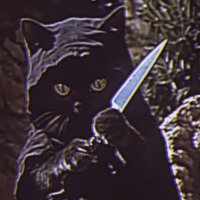 ⚔️ 𝕵 ⚔️ (@jthakiller) 's Twitter Profile