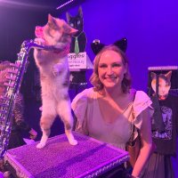 Elisabeth🐈⬛🐈 (@elisabethhhl) 's Twitter Profile