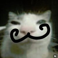 emi (@emisandrist) 's Twitter Profile