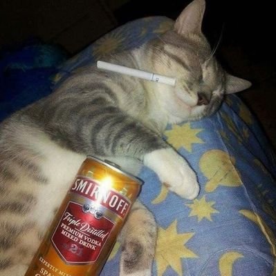 Slashzin7793's profile picture. perdido aqui nessa bagaça, só uso raramente