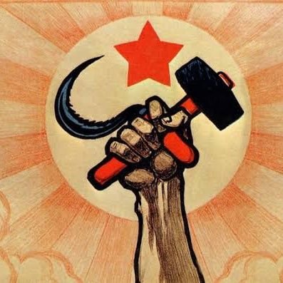 guido59646203's profile picture. 