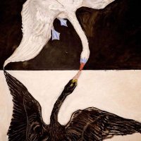 sunshine (@sunshineee987) 's Twitter Profile