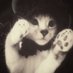โ๐๐๐๐๐๐ เผเผเฟโ (@xkittenkweenx) Twitter profile photo โ๐๐๐๐๐๐ เผเผเฟโ (@xkittenkweenx) Twitter profile photo