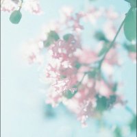 ウミナリ (@umino_uneri) Twitter profile photo