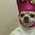 im (@imtesunshine) Twitter profile photo im (@imtesunshine) Twitter profile photo