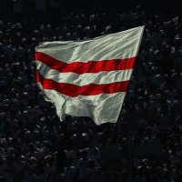 Mahmoud Ali (@mahmoudali16899) 's Twitter Profile