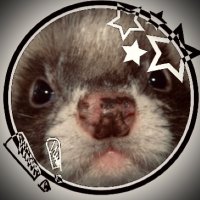 ─〃★P𝕀𝐏𝙀!!☆ (@met4l_pip3) 's Twitter Profile