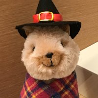 桐山なつめ (@n_kiriyama) 's Twitter Profile