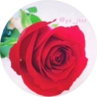 さゆ (@sayu_shiyu) 's Twitter Profile