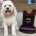 Greg Heiar “GH” (@coachgregheiar) Twitter profile photo Greg Heiar “GH” (@coachgregheiar) Twitter profile photo