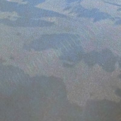 Replicolor's profile picture. 