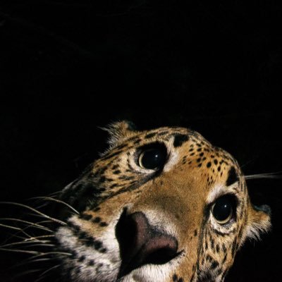 spewupchunks's profile picture. New Jersey mentioned