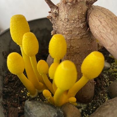 katsuki_ing's profile picture. ふぁぼりつをします。