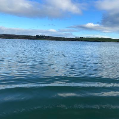 StrangeWetlands's profile picture. Poet. IPhD Candidate @UMaine. Founder, Healthy Waters Coalition. Irish folklore, Lit ecology, eelgrass, marshes. Sea swimmer. Visiting Research Student, UCC