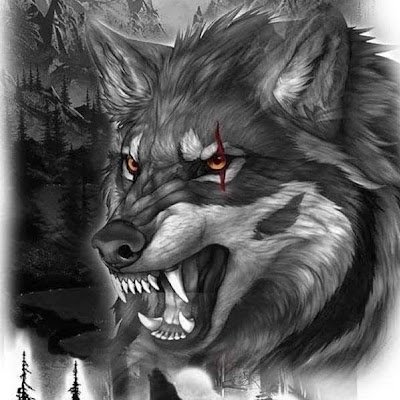 cardinal11196's profile picture. 