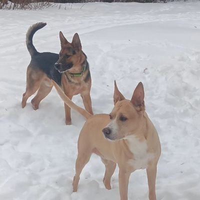 RegiSkull's profile picture. 
