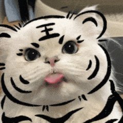 yi2099's profile picture. ooooo