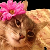 N•_•F | 🇵🇸 (@ar_no7) 's Twitter Profile