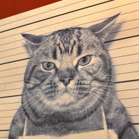William Therrien (@willtherrienqc) 's Twitter Profile