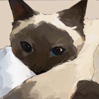 imo (@imotion07) 's Twitter Profile Photo imo (@imotion07) 's Twitter Profile Photo