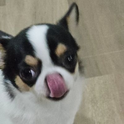 deffdaniiii's profile picture. 